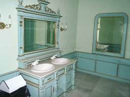 Mula Antigua serie-2